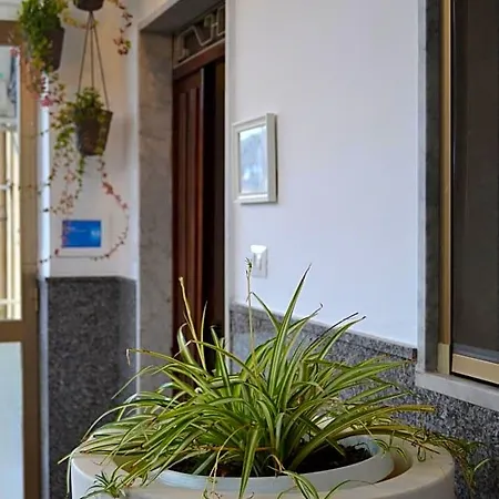 Gio House 3*